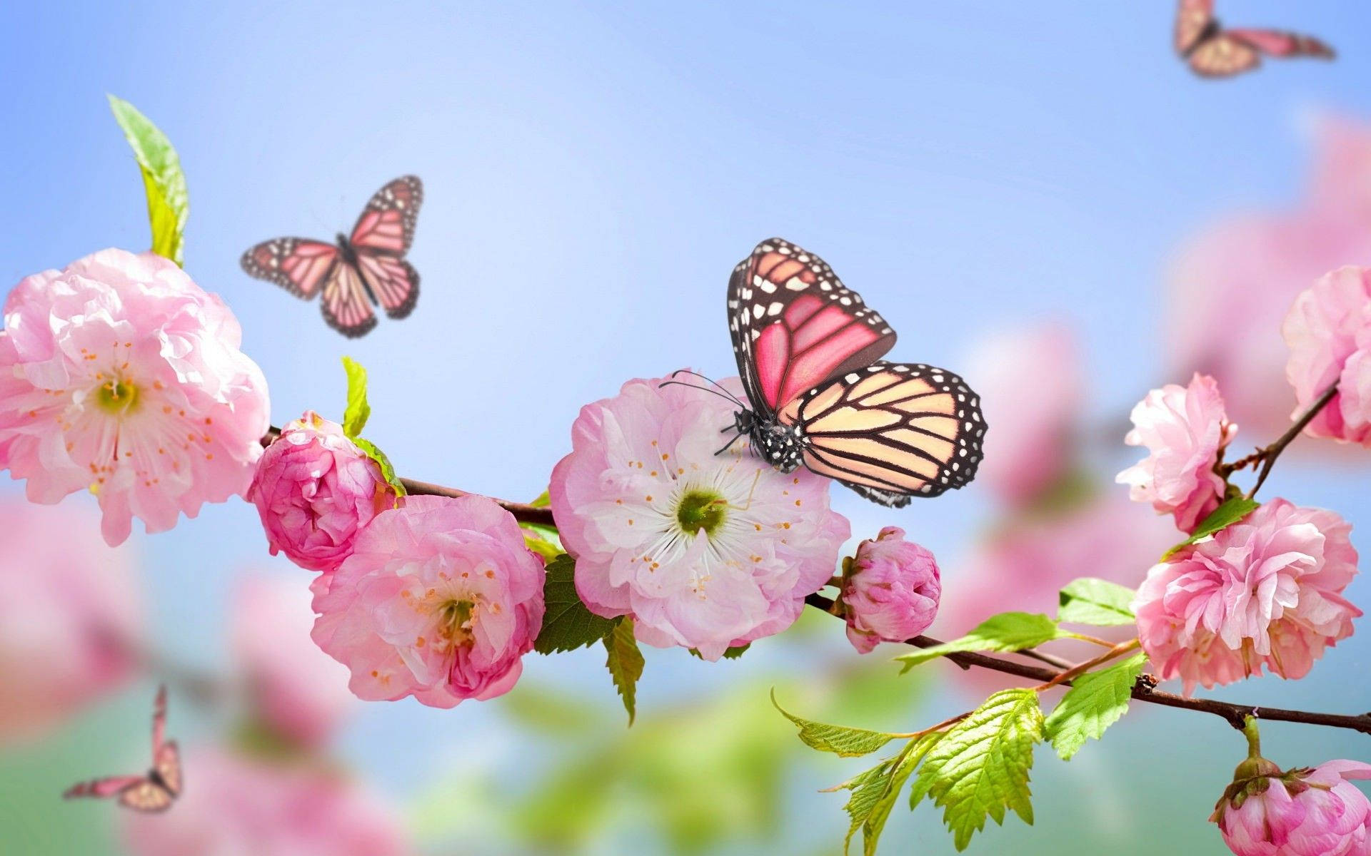 Understanding Your Options for Memorials, Burials, and Cremation